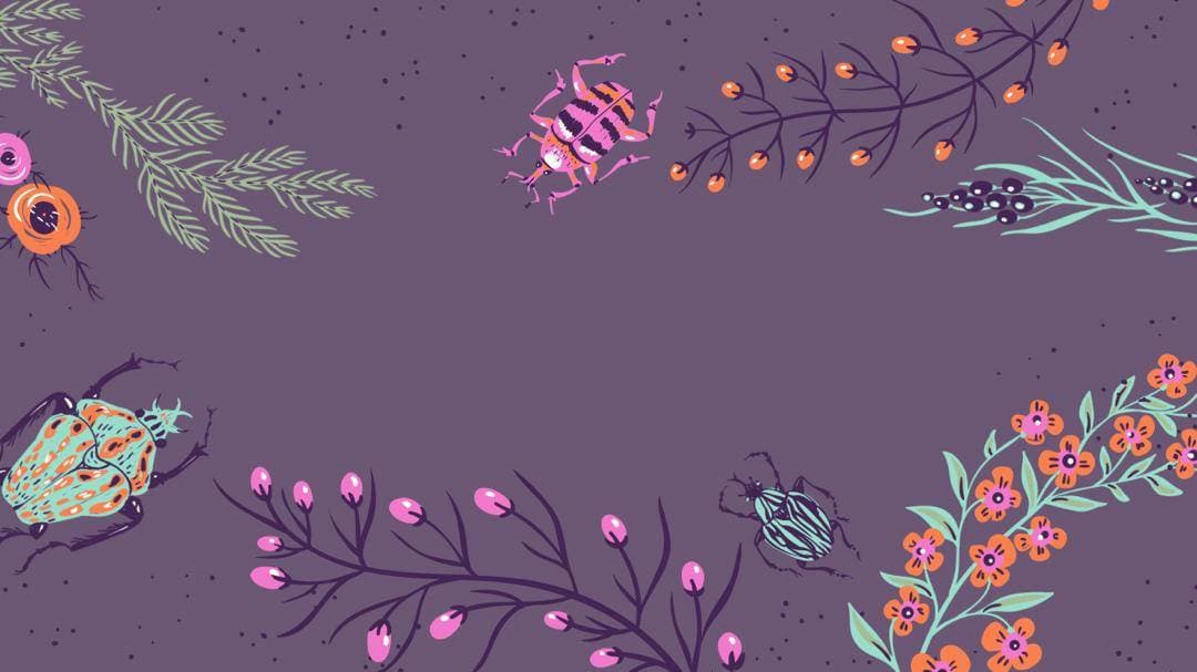 What Are Superbugs?